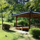 어답산농장 Daum카페