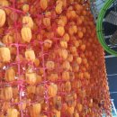 동철농장 이미지