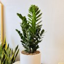 상남동214 이미지