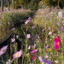 하동레일파크 이미지