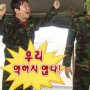 시흥탑애견미용학원 이미지