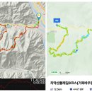 치악산둘레길8코스(거북바우길) 11월23일 이미지