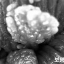 불로초 한의원 이미지