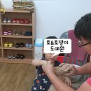 토&토쟁이