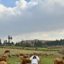 세자매목장 이미지