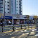 태영아파트 사거리 이미지