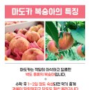 호야네농장