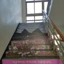 진안군보건소 이미지