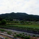 풍악산농장 티스토리