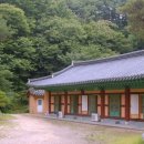 쌍암골 Daum카페