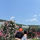5월 일기
