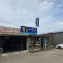 황금수족관