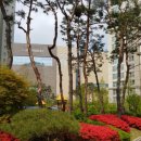 푸르지오최고공인중개사사무소 이미지