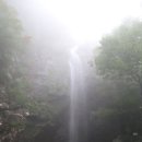 전국제일순대상모점