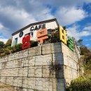 앵무타운 | 양평 여행 아이와 함께 앵무새카페 앵무타운 힐링코스 추천