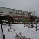 여주곤충박물관 이미지