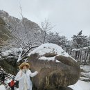 시냇물과 눈꽃세상 | [강원도] 속초에서 눈이 내리면; 설악산