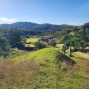 이사위묘 이미지