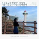 3일 / 부산영도 태종대 다누비열차 🚌 태종대전망대와 영도등대 산책하기📍노을맛집 중리항방파제 옥천횟집
