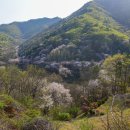 산골나들이 이미지