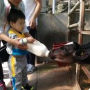 건우목장 이미지