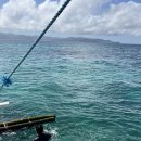 에스팜 | 즐거웠던 에스보라카이 호핑투어 후기⸜(꒪'꒳'꒪)⸝