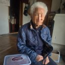 노인맞춤돌봄서비스 사회참여 "김장 愛 김치 나눔" 행사진행 이미지