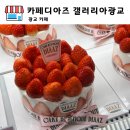 갤러리아 광교 | 광교 카페 카페디아즈 갤러리아 광교 케이크 포장 후기 수원 카페 디저트 추천