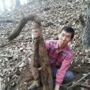 백년지기 이미지