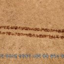 신비로운 고대의 한국어 이미지