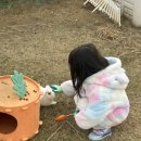 닛시농장 이미지