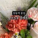 스노우플레르