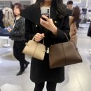 명품치킨 꾸번네(화정점) | 자라 품절템 더로우st 마고백 발견, 폴킴 콘서트 예매, 올해 첫 붕어빵