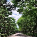 부천중앙공원 이미지