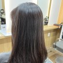 라피네 애견스파 | 양재역 미용실 살롱드라피네 클리닉 준 디자이너