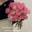 금곡6리(신안인스빌) | 꽃집 추천 후기 좋은 곳 다산소진플라워 / 다산신안인스빌꽃배달 다산동부모님결혼기념일꽃다발 가운동...