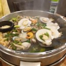 택이네