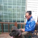 한결같은 동물병원 이미지