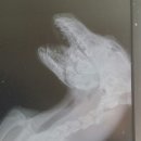 평강주유소 이미지