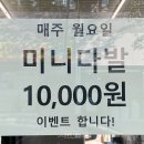 플로럴다다 - 광산구 풍영로101번길 37 | 수완지구 꽃집 플로럴다다 꽃다발 후기