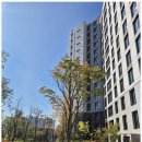 신용부동산공인중개사사무소 이미지