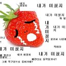 밤 셀까 이미지