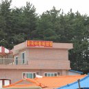 중국아줌마닭집 이미지
