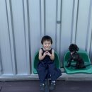 조금리 | 보령 우유창고 카페 방문 후기 🥛🍰