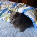 남일여관 이미지