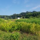 야산농장 이미지