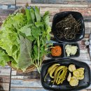 성호네횟집 | 창원장어맛집 성호네횟집 추천 N번째 방문후기 내돈내산
