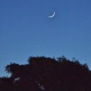 요가MOON 이미지