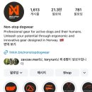 도그먼트 이미지