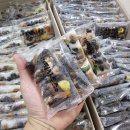 사파동215 이미지